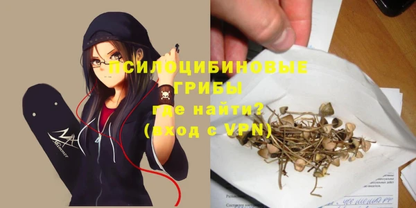 герыч Вязьма