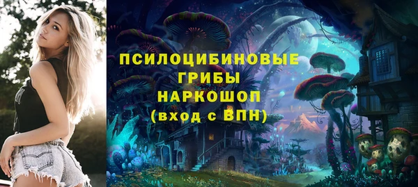 герыч Вязьма