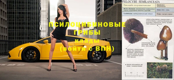 не бодяженный Вяземский
